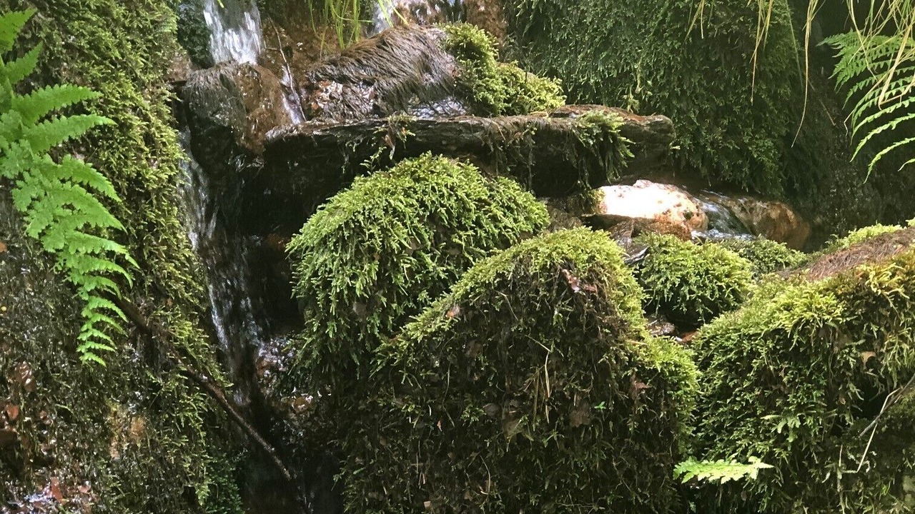 Photo of Outdoor in Montferrier
