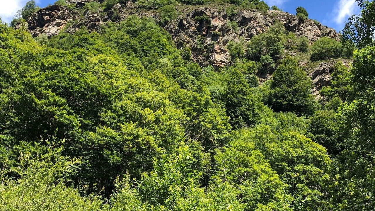 Photo of Outdoor in Montferrier