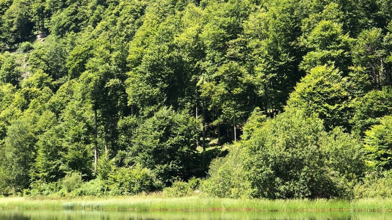 Photo of Others in Montferrier