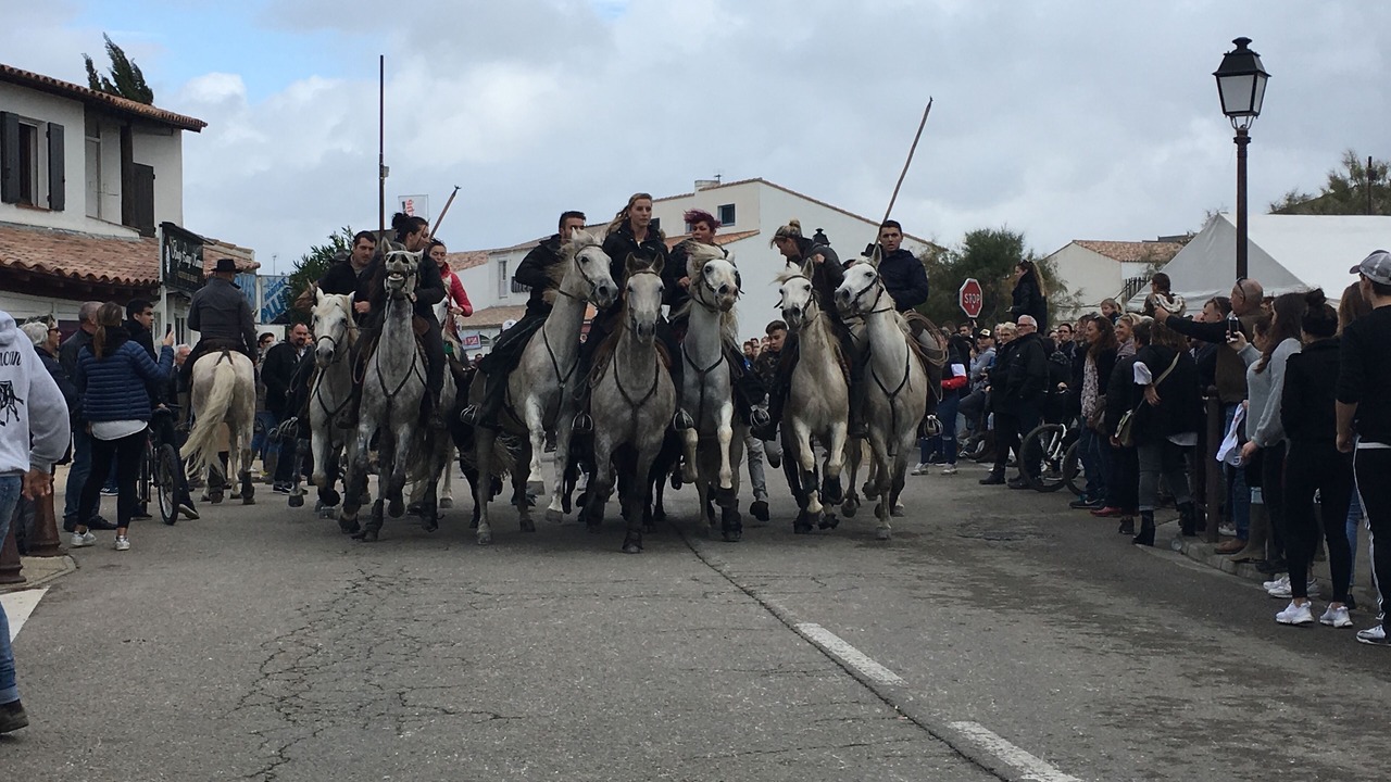 Photo of Others in Saintes-Maries-de-la-Mer