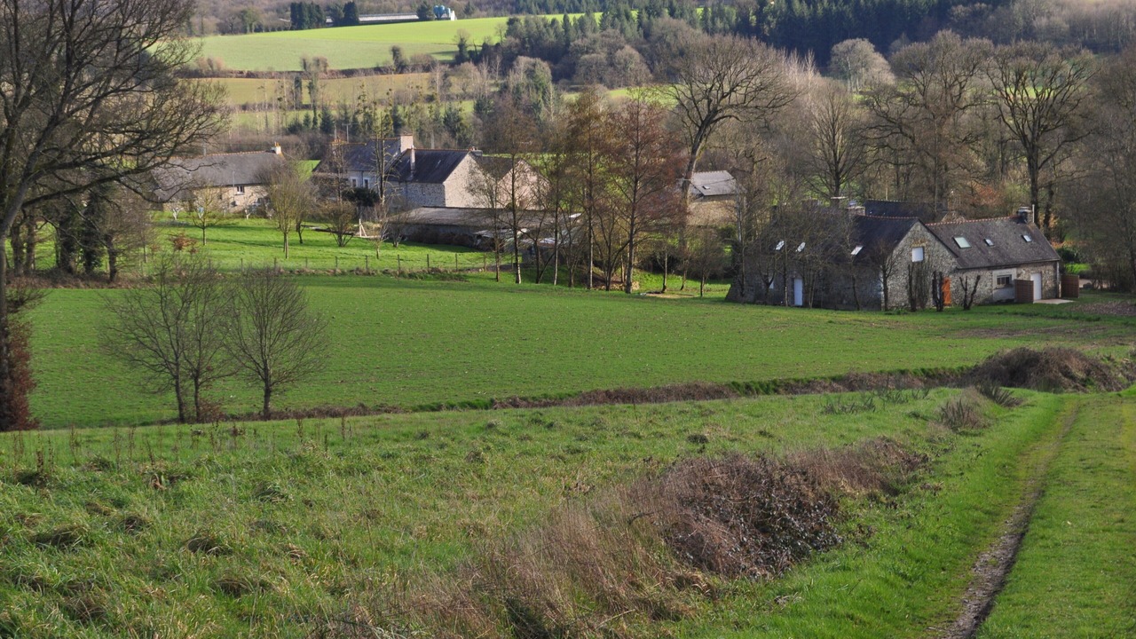 Photo of Outdoor in Plessala