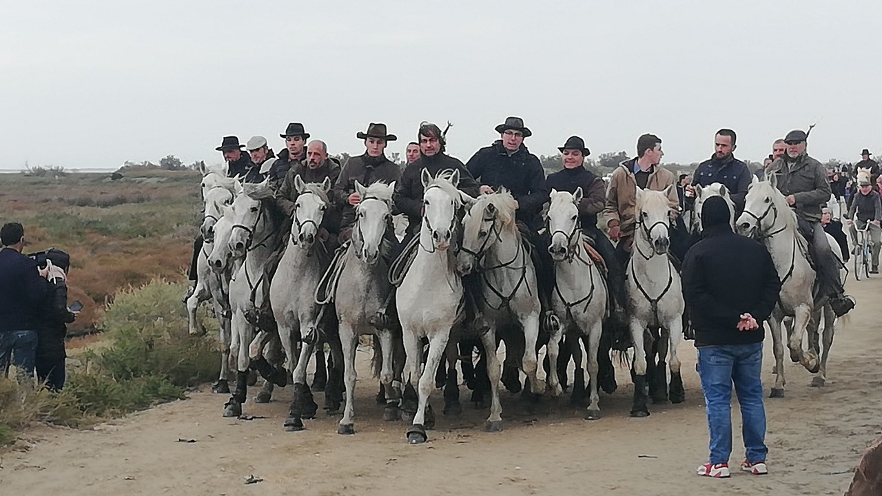 Photo of Others in Saintes-Maries-de-la-Mer