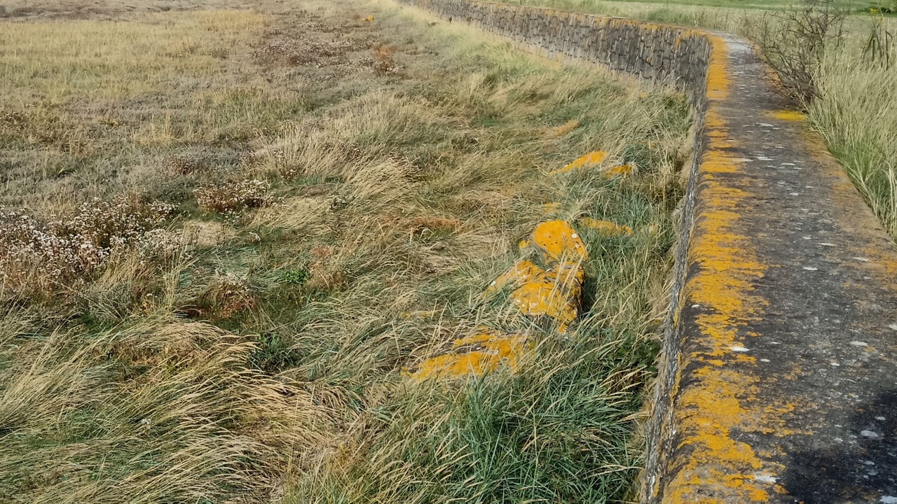 Photo of Outdoor in Hillion