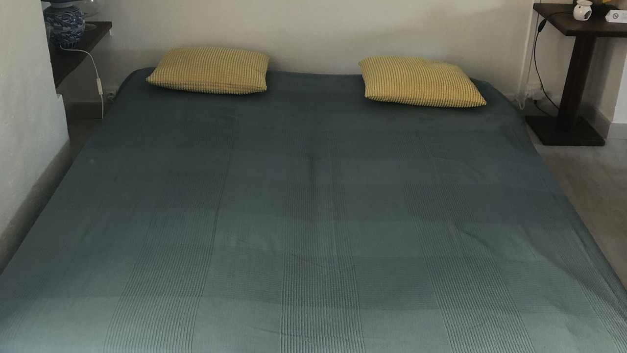 Photo of Bedroom in Trigance
