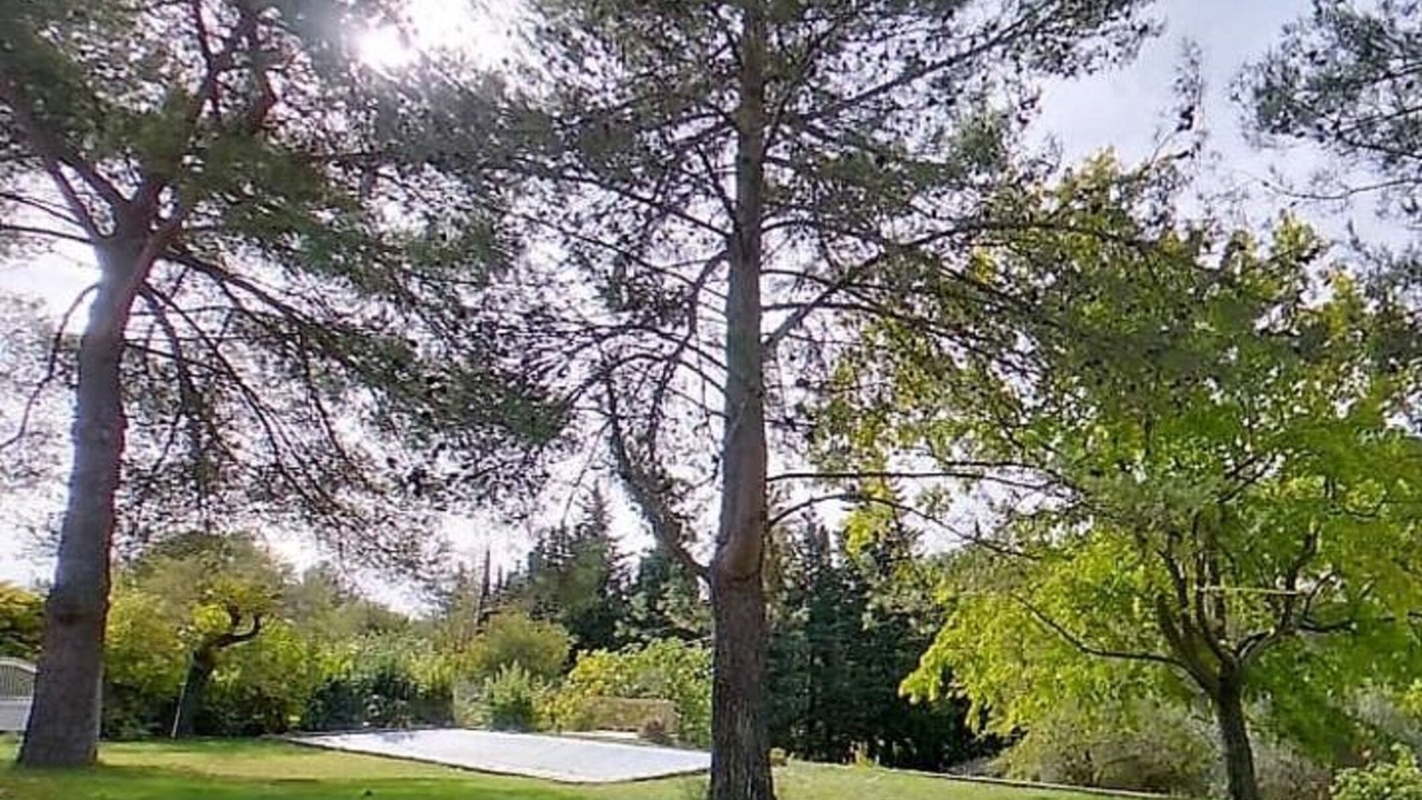 Photo of Outdoor in Les 3 Ponts