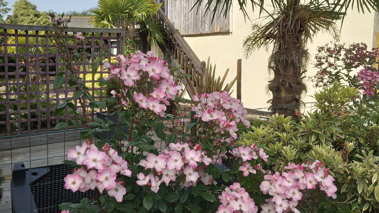 Photo of Outdoor in Landebia