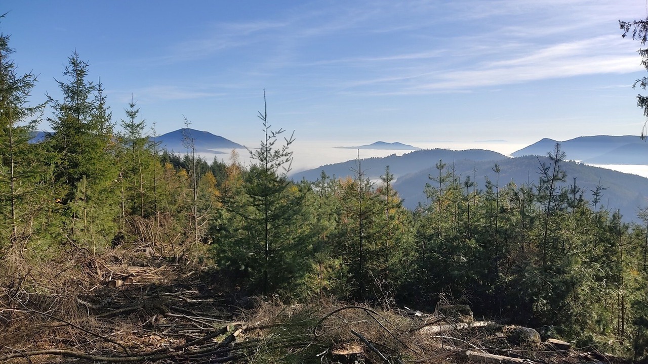 Photo of Outdoor in Steige