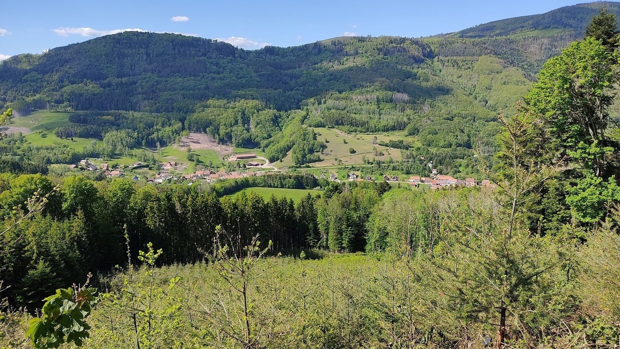 Photo of Outdoor in Steige
