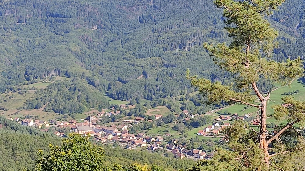 Photo of Outdoor in Steige