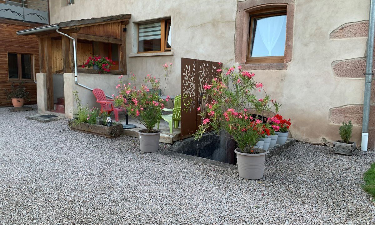 Photo of Outdoor in Steige
