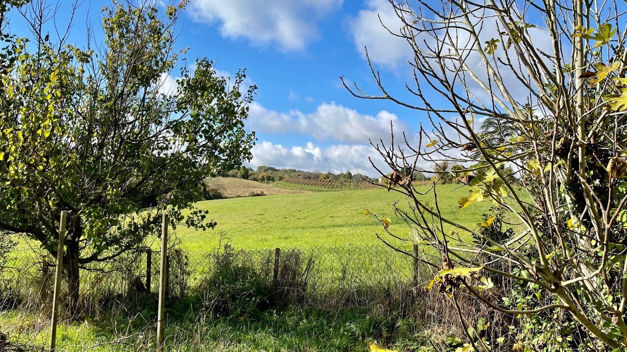 Photo of Outdoor in Pouydraguin