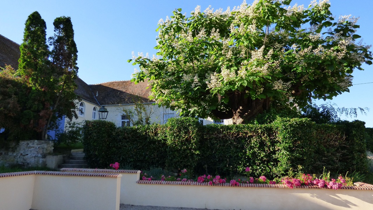Photo of Outdoor in Hauterive