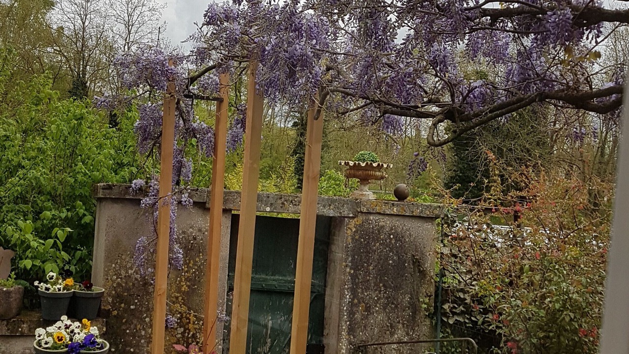 Photo of Outdoor in Saint-Nicolas-de-Port
