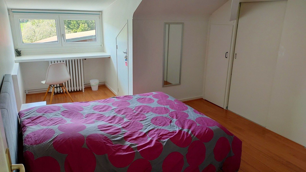 Photo of Bedroom in Chantraine