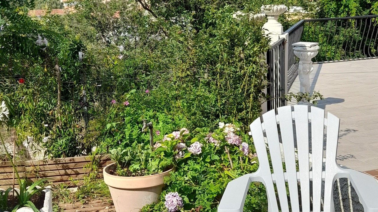 Photo of Patio Balcony in Figarella