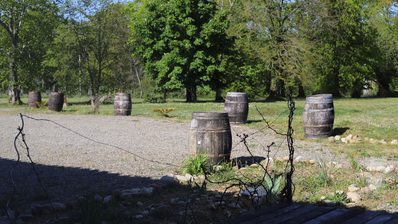 Photo of Outdoor in Madiran