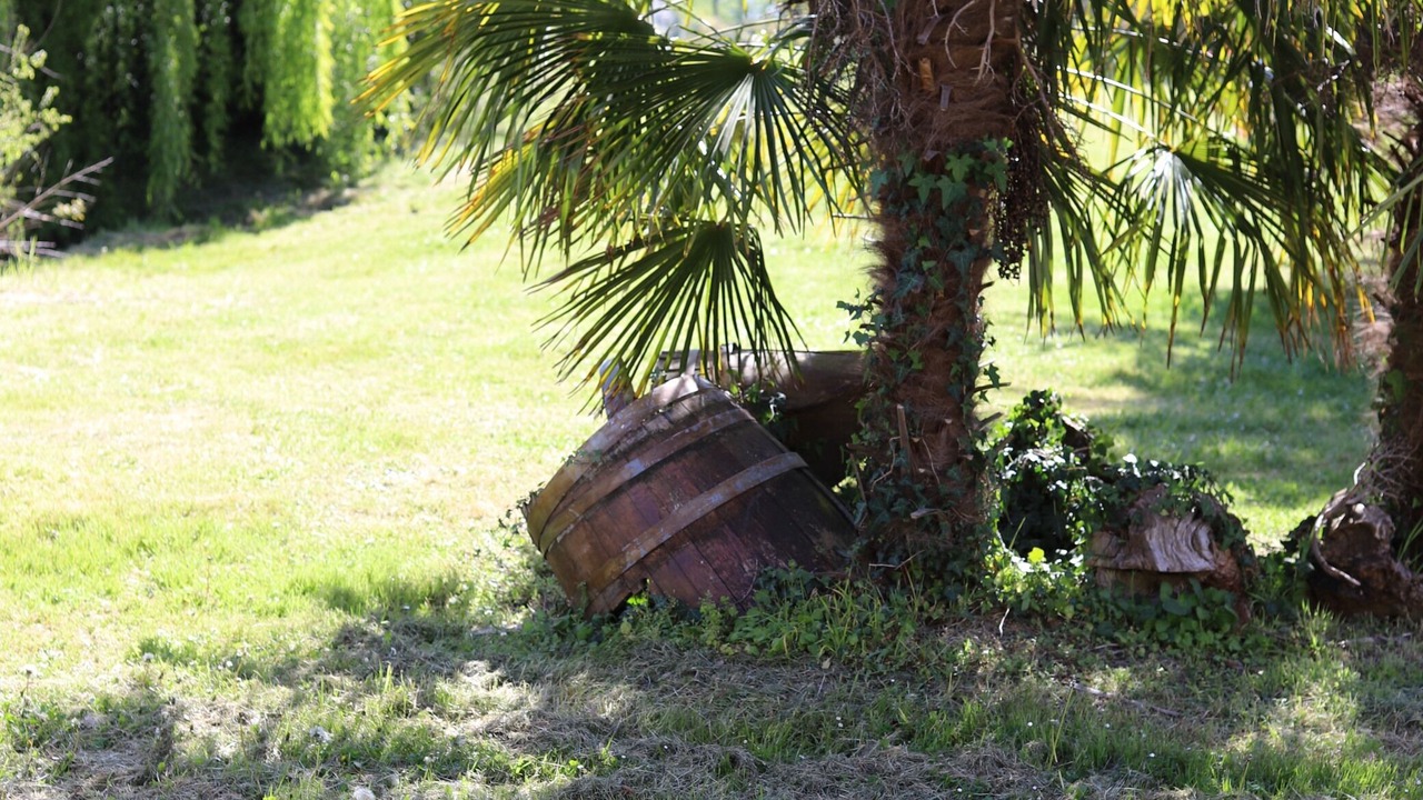 Photo of Outdoor in Madiran