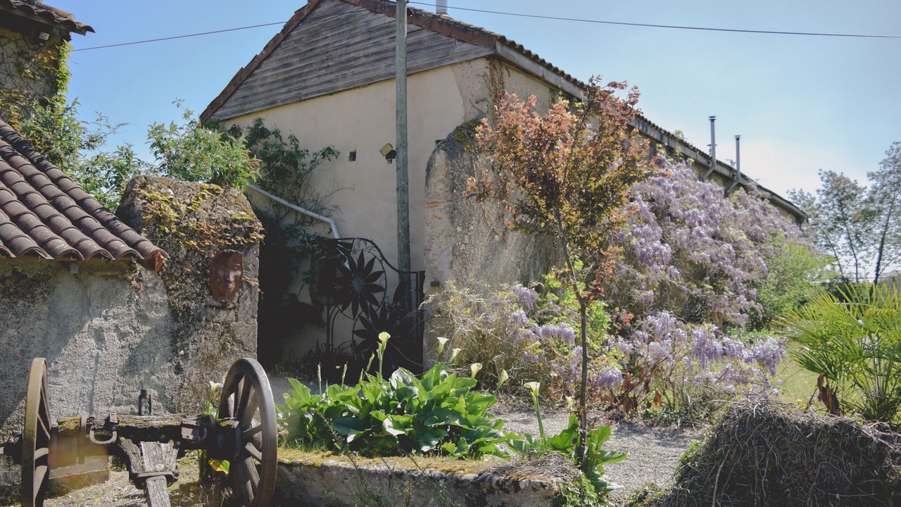 Photo of Outdoor in Madiran