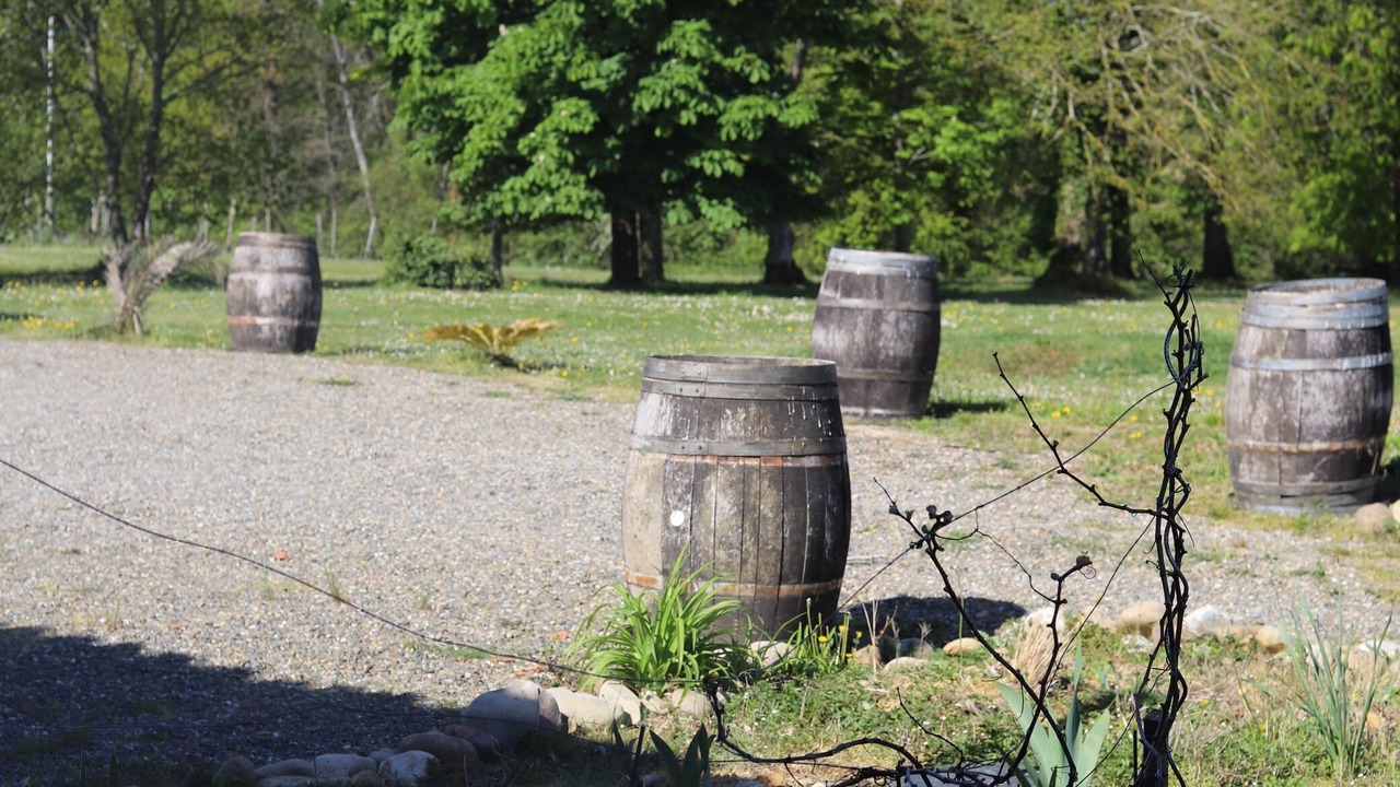 Photo of Outdoor in Madiran