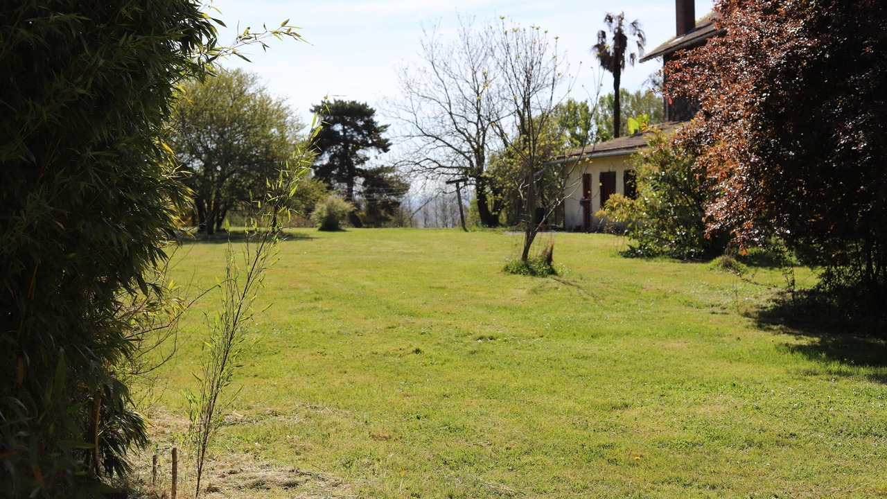 Photo of Outdoor in Madiran
