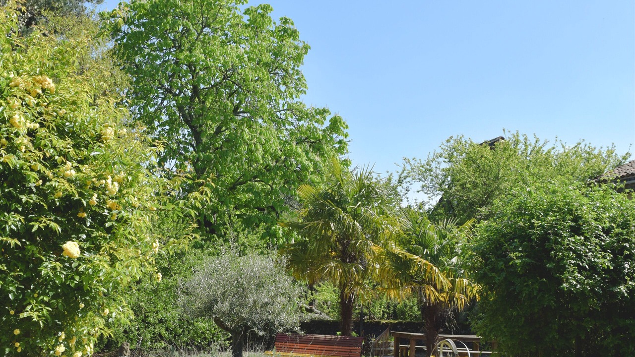 Photo of Outdoor in Madiran