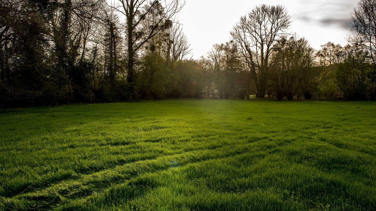 Photo of Outdoor in Chigy