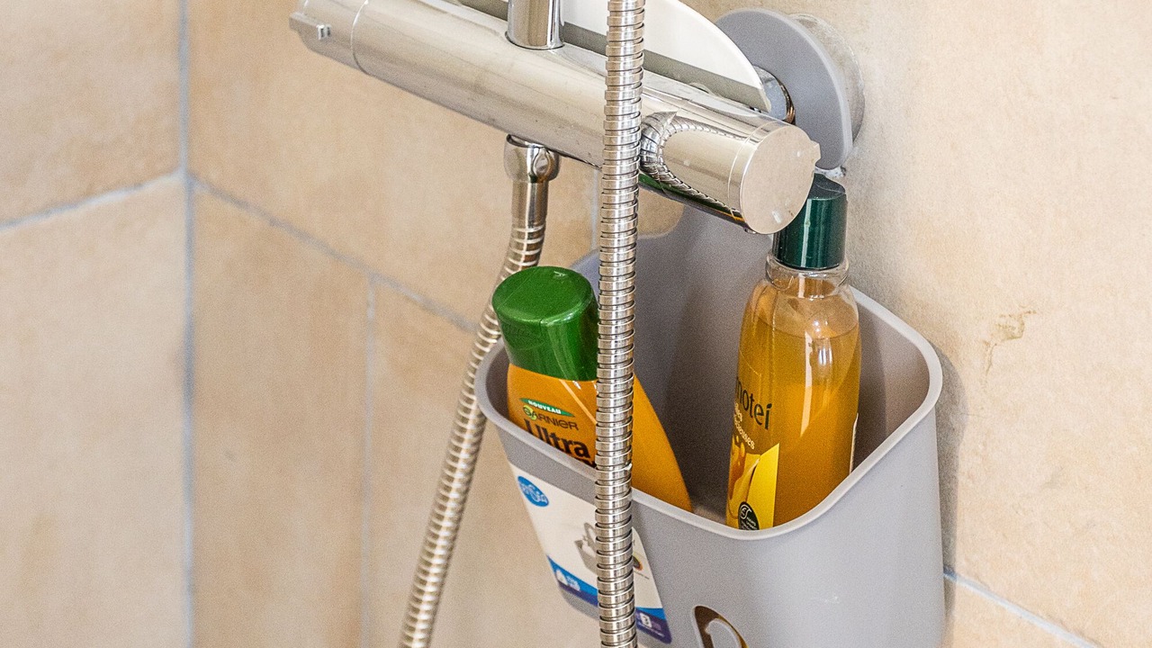 Photo of Bathroom in Pau-Sud