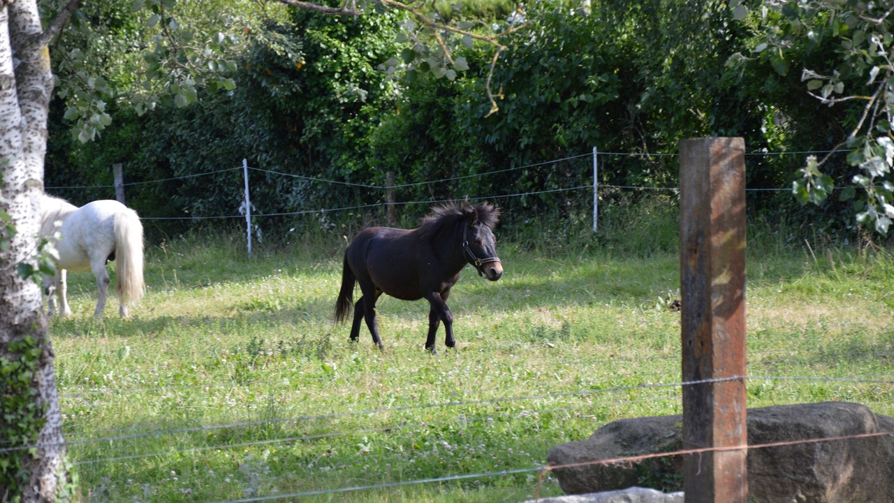 Photo of Outdoor in Plancoet