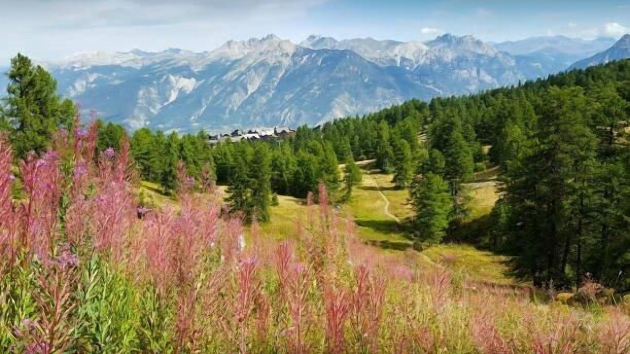 Photo of Others in Vars