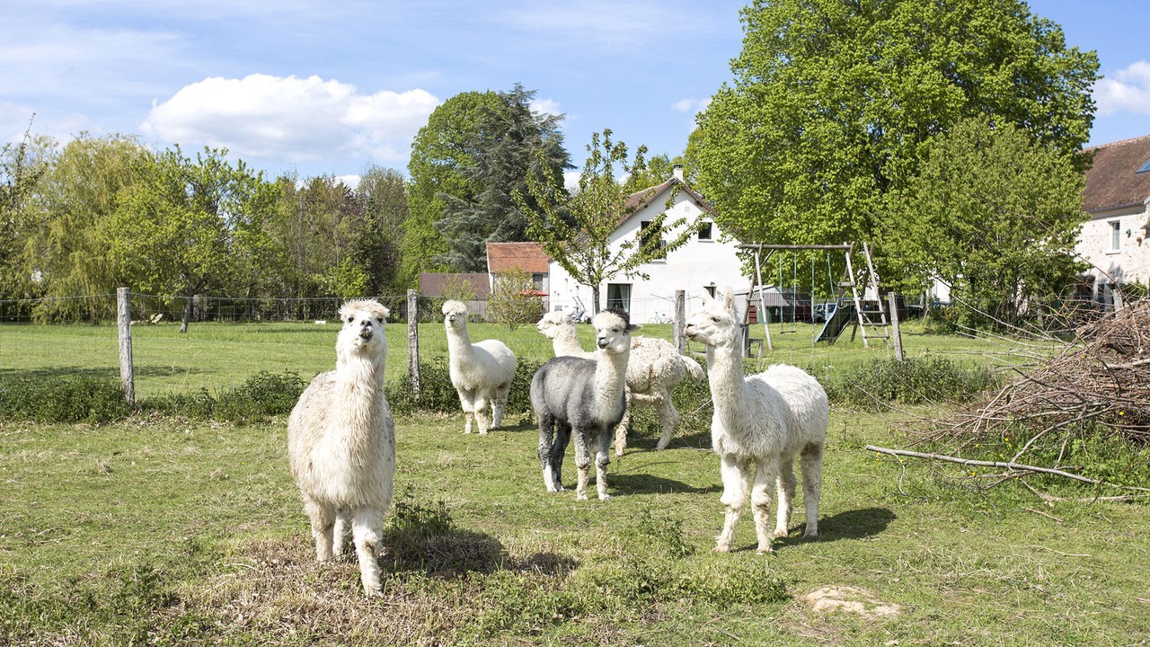 Photo of Outdoor in Saint-Simeon