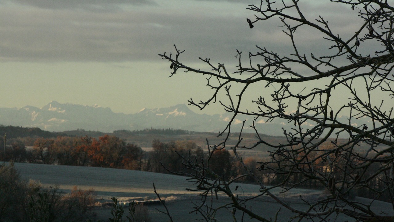 Photo of Others in Saint-Arailles