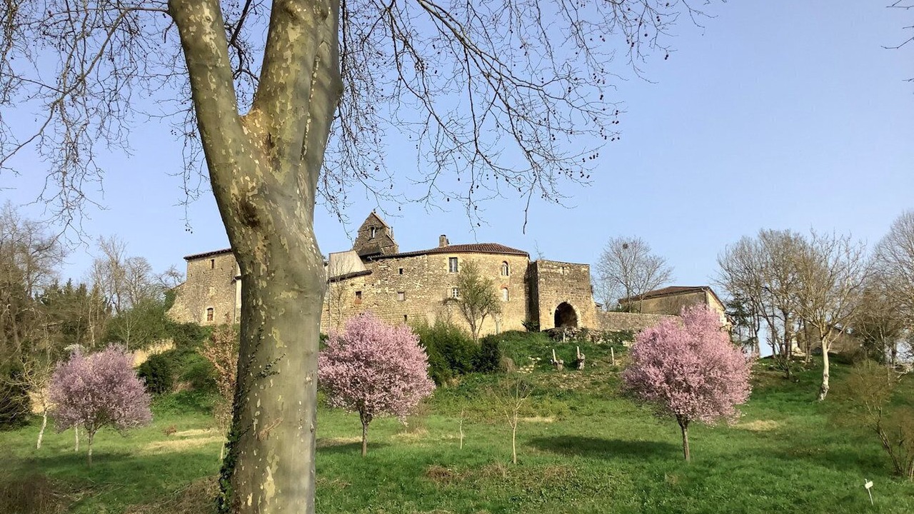 Photo of Outdoor in Saint-Arailles