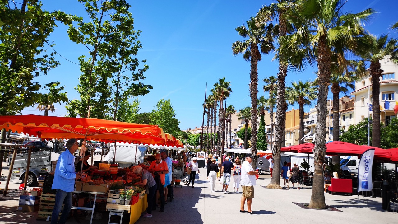 Photo of Others in Bandol