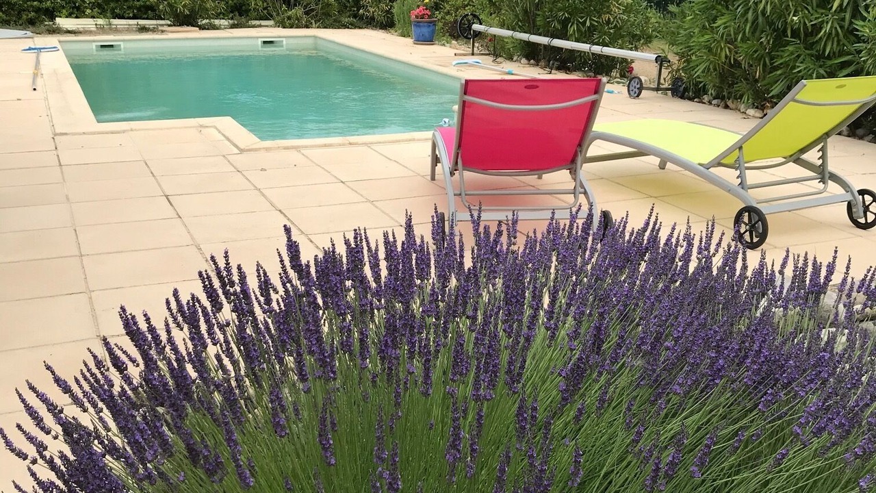 Photo of Outdoor in Bras-d'Asse