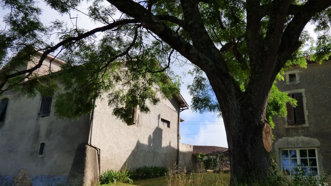 Photo of Outdoor in Puy-l'Eveque