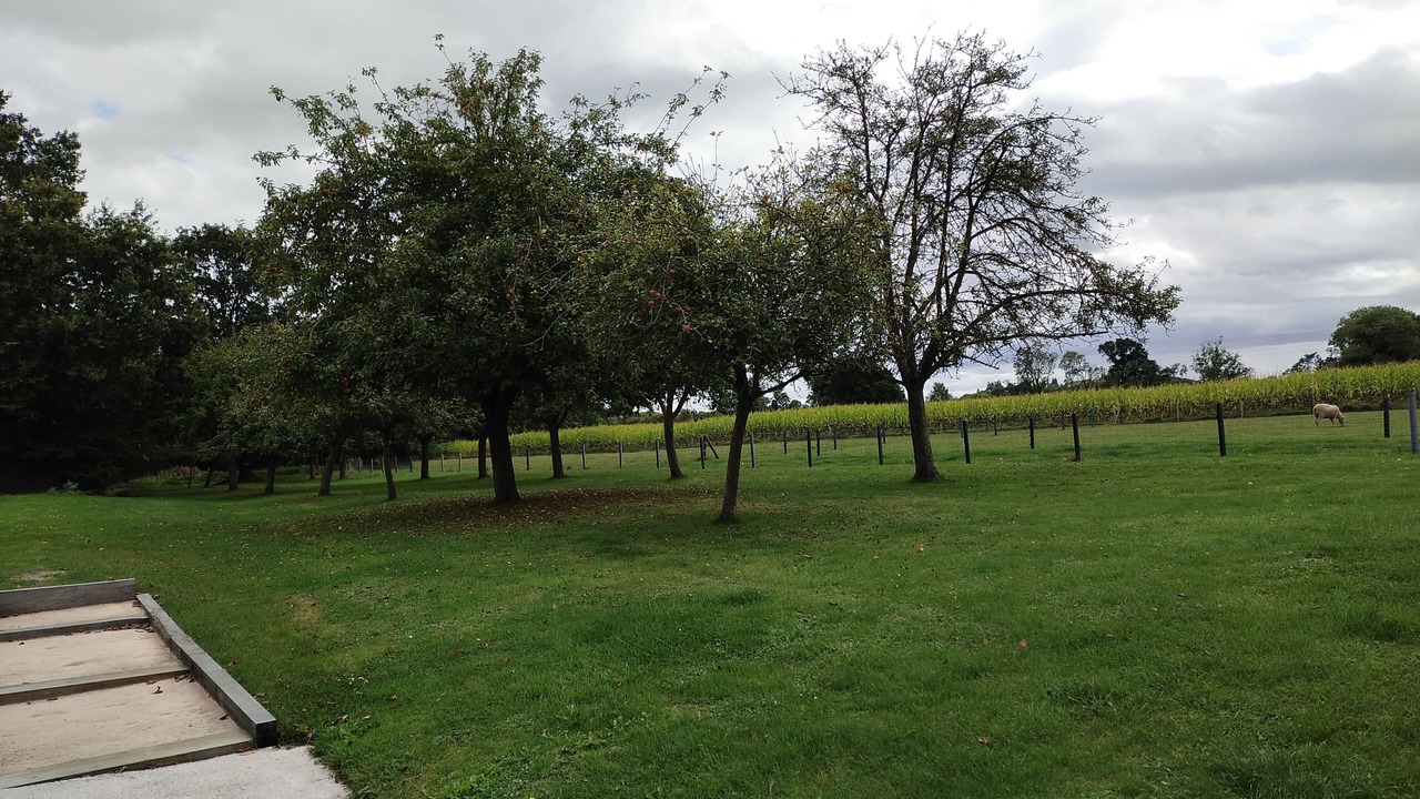 Photo of Outdoor in Pluduno