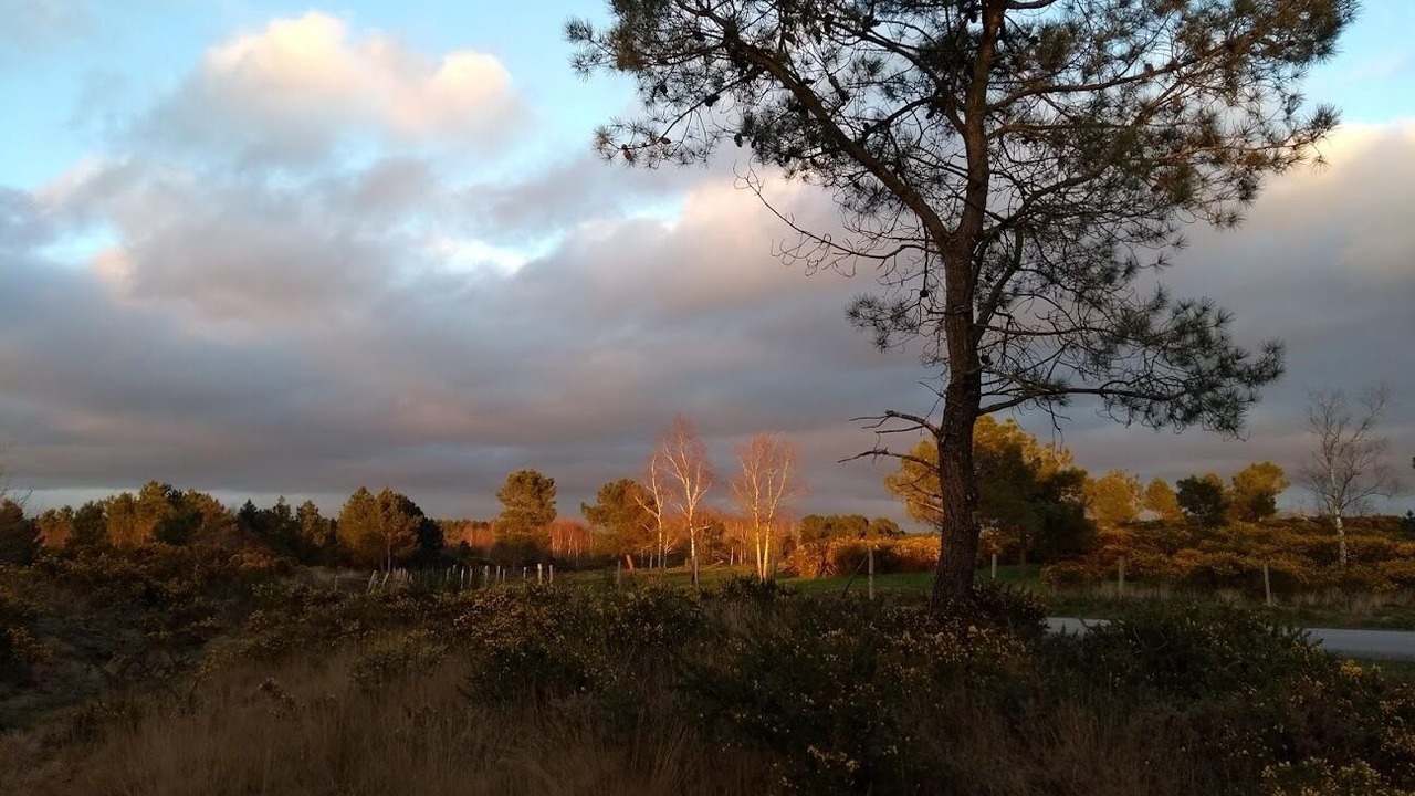 Photo of Outdoor in Neant-sur-Yvel