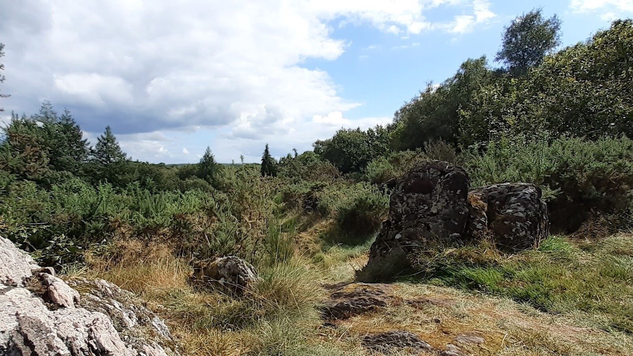 Photo of Outdoor in Neant-sur-Yvel