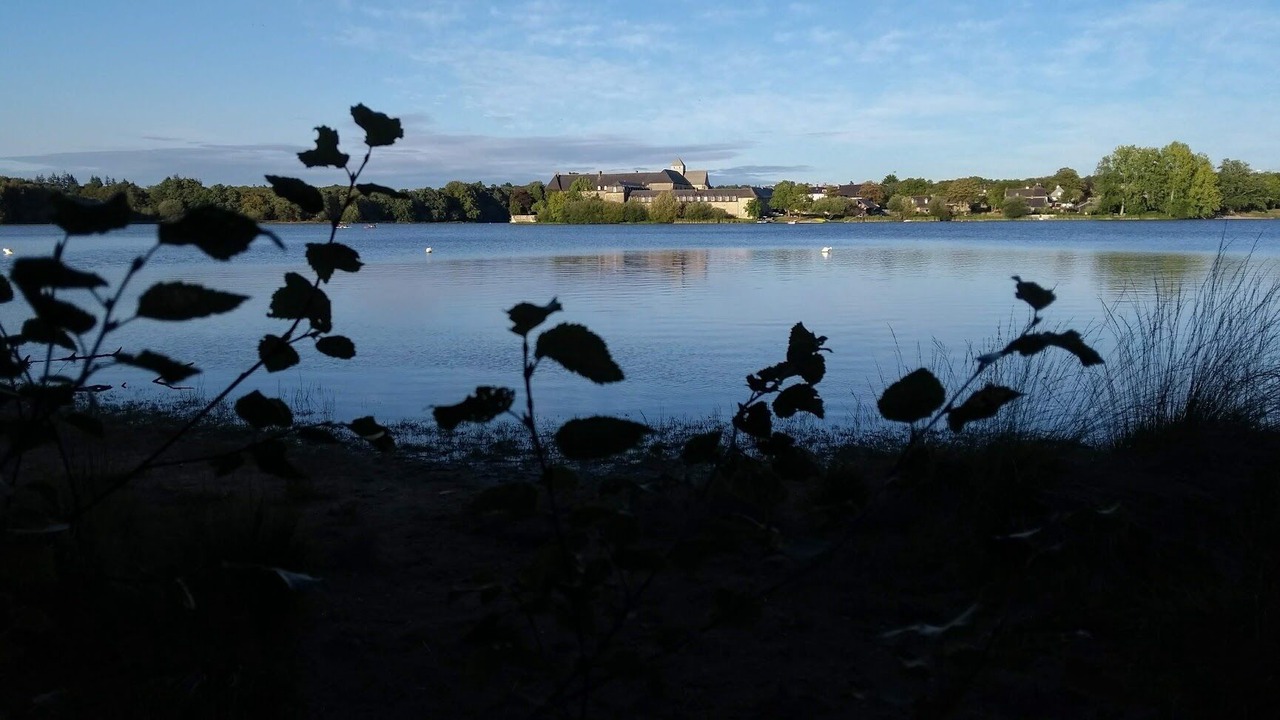Photo of Outdoor in Neant-sur-Yvel