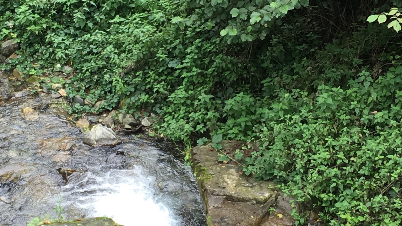 Photo of Outdoor in Bourisp