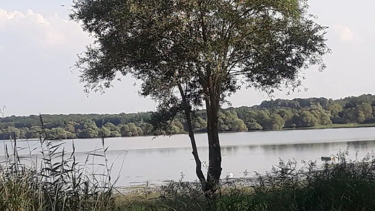 Photo of Outdoor in Eclaron-Braucourt-Sainte-Liviere