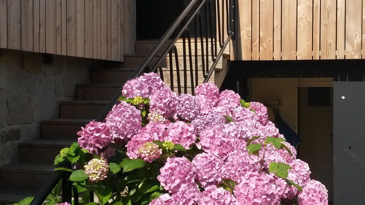 Photo of Outdoor in Saint-Briac-sur-Mer