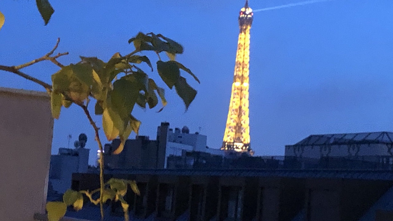 Photo of Outdoor in Porte-Dauphine