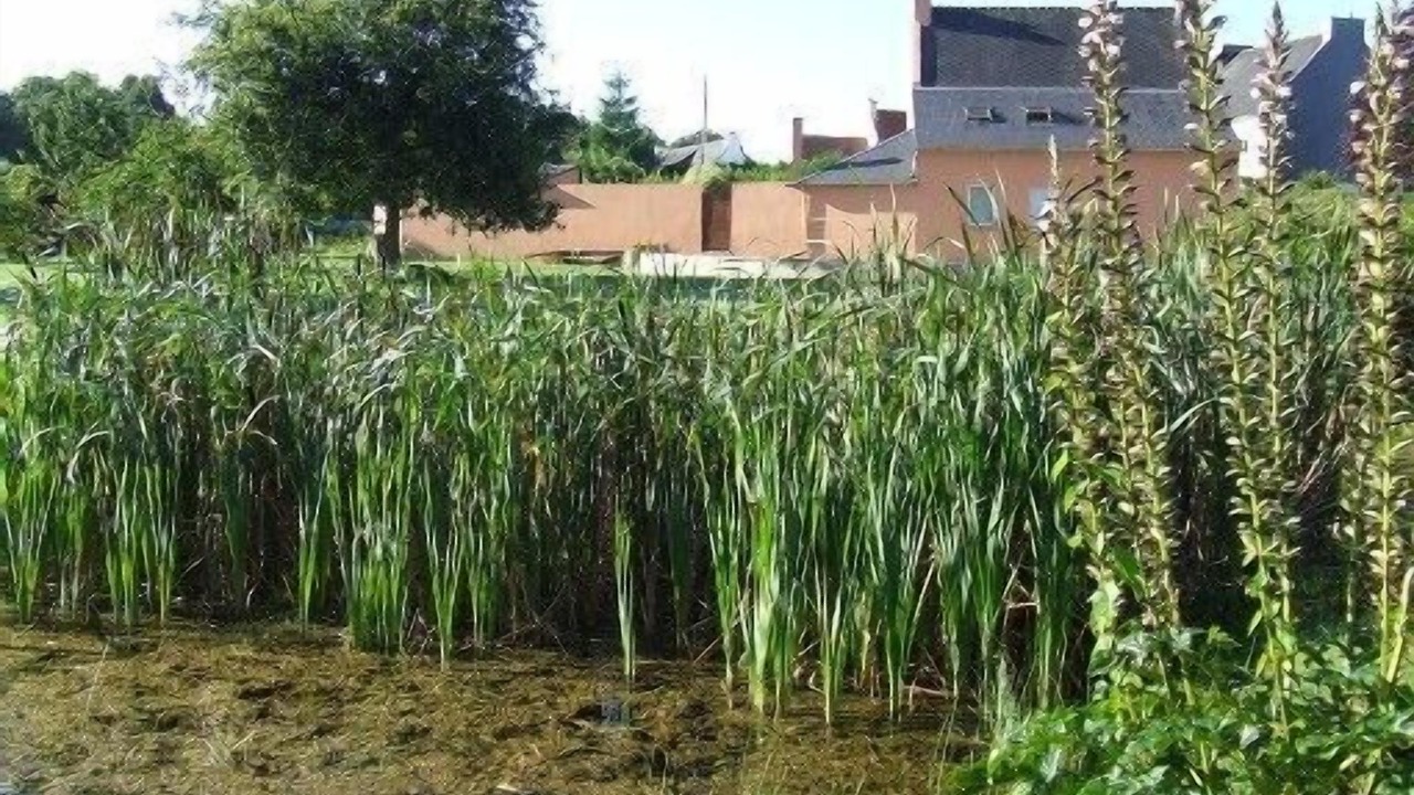 Photo of Outdoor in Concarneau