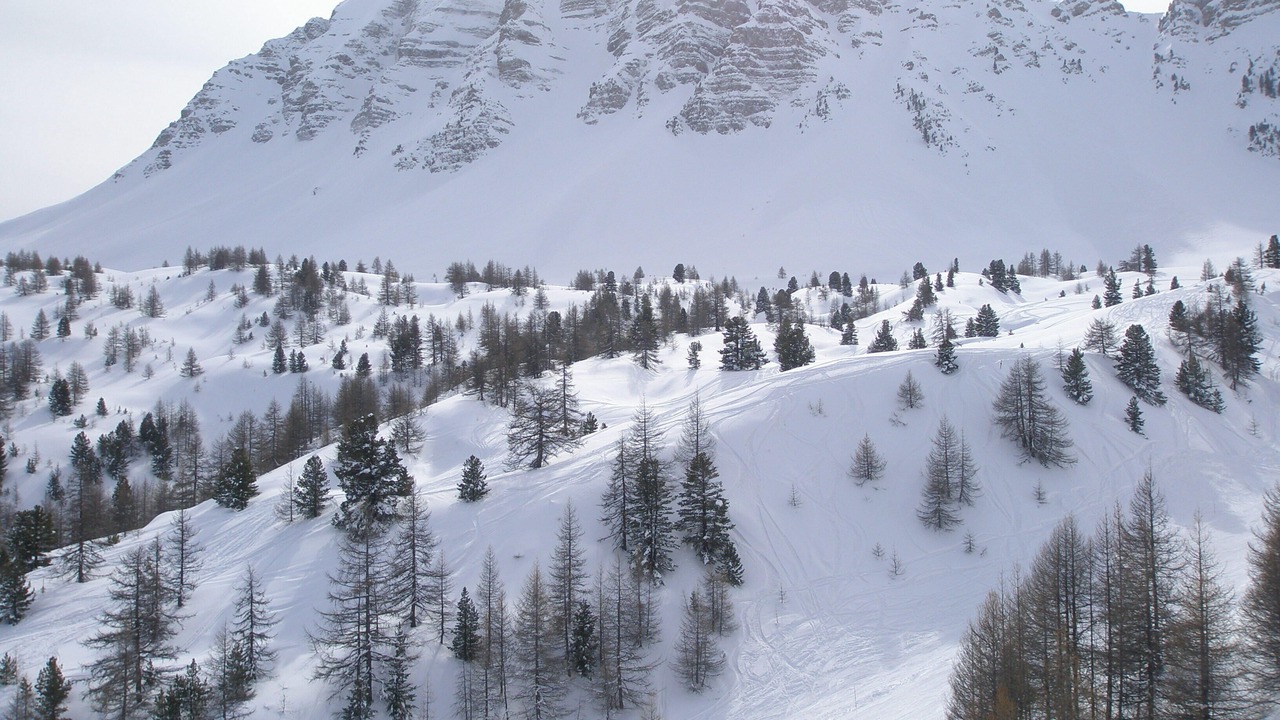 Photo of Others in Les Claux