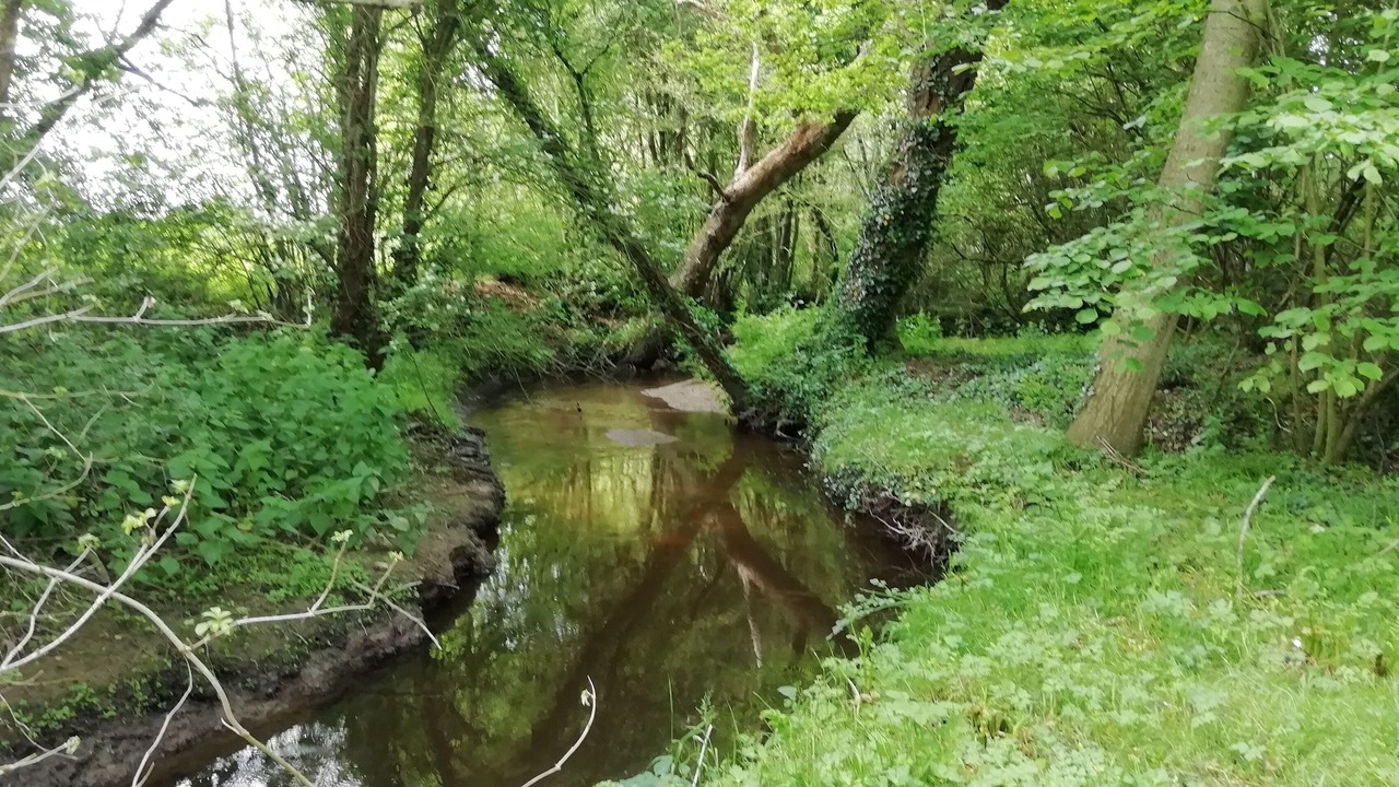 Photo of Outdoor in Landehen