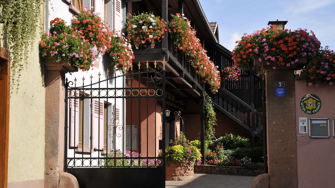 Photo of Outdoor in Bergheim