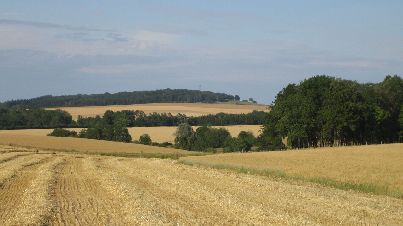 Photo of Others in Trampot