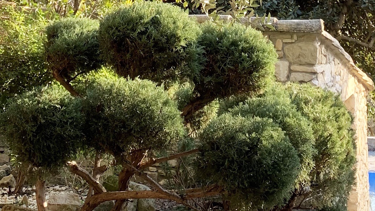 Photo of Outdoor in Brignon