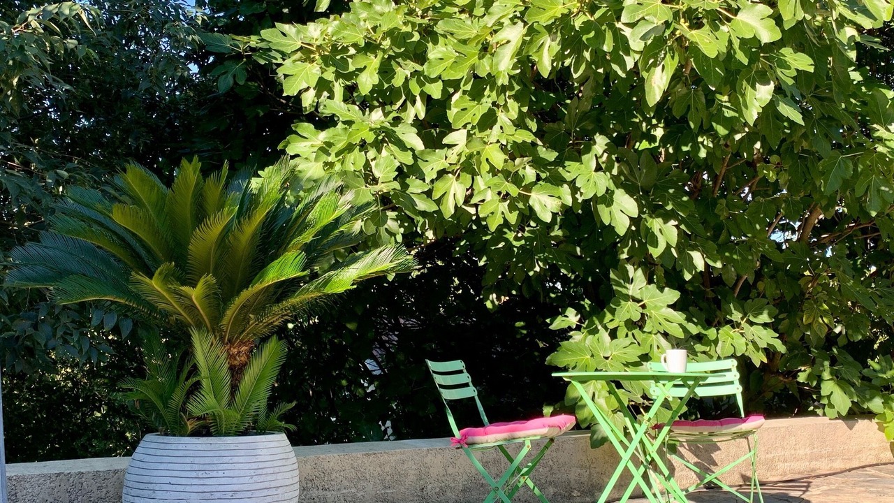 Photo of Others in Brignon